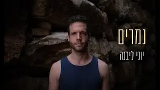 יוני ליבנה - נמרים