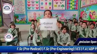 Colour Name | Names of Color| Flashcards learning | colour names for kids