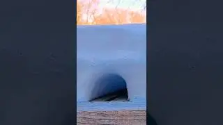 Snow ❄️ Tunnel | Funny Nancy | 🐈Kitty Club🐈&zwj;⬛ |