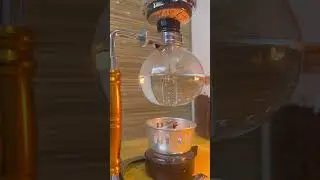 Siphon Coffee Maker #coffee #shortvideo #shorts #starbucks