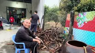 Những vị thuốc quí hiếm 
