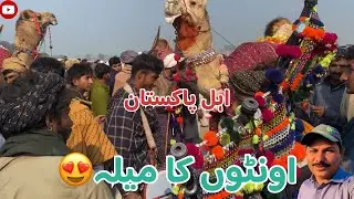 unton ka melah 😍اونٹوں کا میلہ
