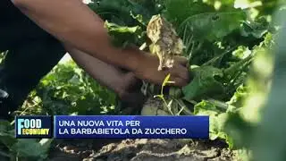 Prodotti di scarto ed economia circolare - Francesco Bruno ne parla a Food Economy di Class CNBC