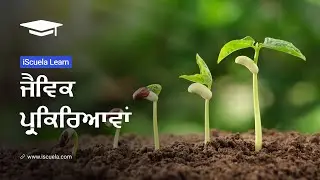 PB | Class10 | Science | Chapter 6 | Jaivik Prikiriavan_04 (PSEB)