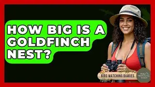 How Big Is A Goldfinch Nest? - Bird Watching Diaries