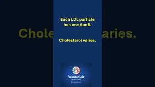 LDL 100 &ne; SAFE
