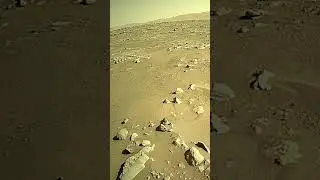 NASA mars perseverence new video new updates vdfd #shorts #nasalive #perseverence