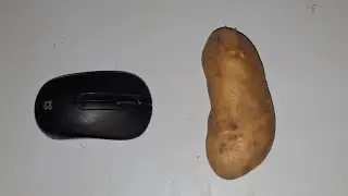 A guide on how to remove POTATOES from your COMPUTER MOUSE, 100% working
