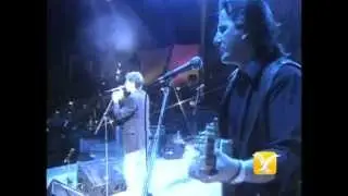Joaquín Sabina, Pastillas Para No Soñar, Festival de Viña 1993
