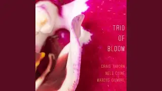Bloomers