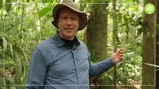 Get to know us with Joshua - EBCF and Amazon Alliance Pillars