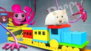 Surprise Hamster Wins Poppy Maze Game Playtime Chapter 2 🐹 DUC Hamster