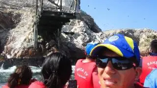 islas ballestas - PARACAS - PERU 2016