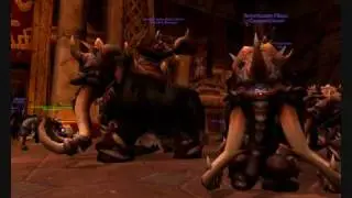 WoW Monster Mammoth Server Shutdown Madness!