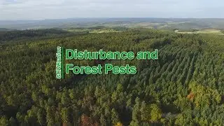 GENEration 04 &ndash; Disturbance and Forest Pests