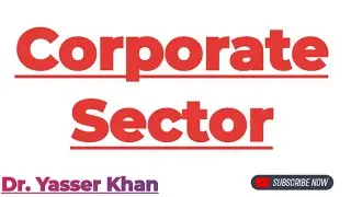 Corporate Sector | Meaning Of Corporate Sector | Corporate Sector Means | Corporation | Economics