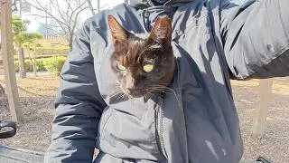 寒すぎるので、黒猫が服の中にもぐりこんでカンガルーになった