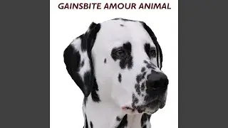 Amour animal