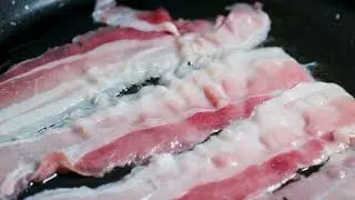 Bacon Facts You Didn&rsquo;t Know (In 7 Seconds!)