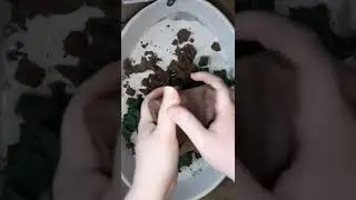 ASMR crunchy baked floral foam crush😍🤤!! satisfying video🤤!!