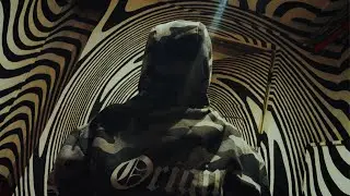 SO DIZZY - gaspari x fern. x brgr (OMV)