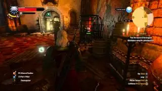 The Witcher 3 - Disturbance: Find Magical Disturbance (Dimeritium) Potestaquisitor Gameplay