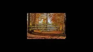 Мурдые цитаты #цитаты #мудрыеслова #love #words #beautiful #мысли