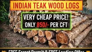 #Indian TEAK WOOD LOGS 