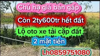 Xã bình hòa tỉnh Tây Ninh 16 công rưỡi trồng sầu riêng và mít giá hết đất 2ty600tr hết đất 