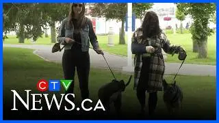 Top 2025 CTV News Northern Ontario stories: recap