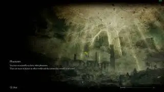 Elden Ring first hacker encounter Perma death loop