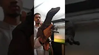 Перемещаю своих гигантских чёрных драконов&hellip;
