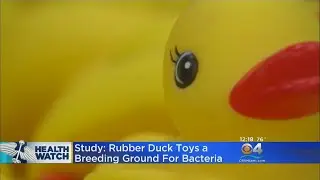 Rubber Duckies Get Gross After Use