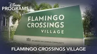Disney Programs | Flamingo Crossings Village