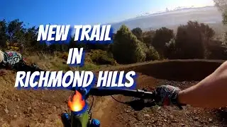 Terminus - new flowy trail in Richmond Hills
