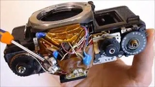 Zenit automat teardown part 1
