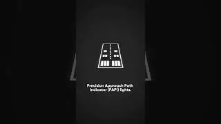 I'm sure you don't know about PAPI lights #747 #a320 #mrbeast