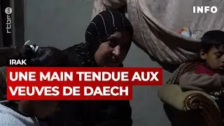 Irak : faut-il tendre la main aux veuves de Daech ? - RTBF Info
