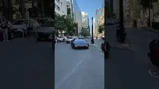 #lambo #car #carporn #carlovers #carspotting #lamborghini #carwithoutlimits #youtubeshorts