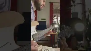 Loving my new Donner DST-200 guitar
