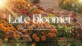 Your Garden Looks Empty in Fall? Try These 8 Late-Blooming Perennials