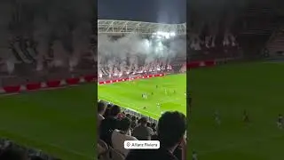Tifo et craquage de la part des ultras ni&ccedil;ois || Nice - Toulouse 16.08.2025 Ligue 1
