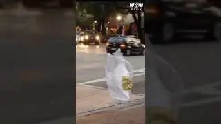 Walking Plastic bag😳 || Wow Daily #shorts