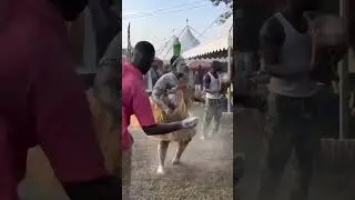Wow🤩Komfour performing miracles #akom #festival #tradition #ghana  #traditional