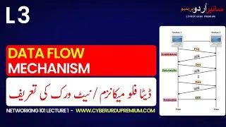 Network 101 Lecture 3 | Data Flow Mechanism | ڈیٹا فلومیکینیزم | Networking | #cyber #urdu #viral