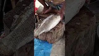 All Fish Cutting Skill | Mrigal, Rohu, Katla & Hilsa Fish Cutting By Expert Fish Cutter