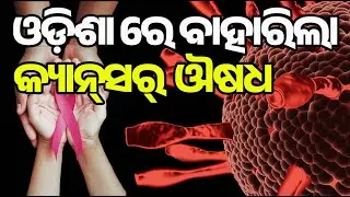 NIT Rourkela କୋଲନ୍ କ୍ୟାନ୍ସର ଔଷଧ &ndash; Breakthrough in Colon Cancer Treatment