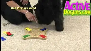 Nina Ottosson Dog Memory Dog Puzzle - www.ActiveDogToys.com