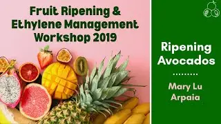 Fruit Ripening and Ethylene Workshop | Ripening Avocados | Mary Lu Arpaia