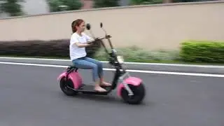 Rooder Citycoco elektrische step e-scooter r804x